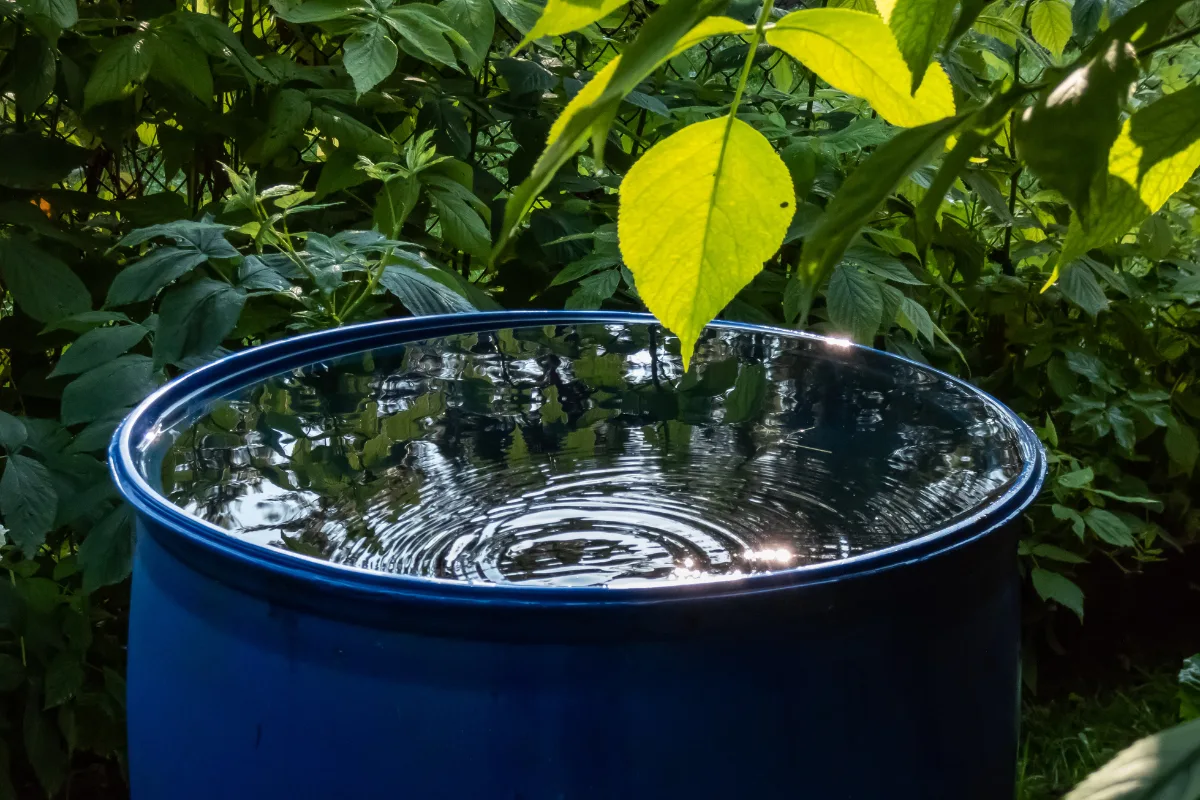 gerais(11) Avaliação do risco para água para reutilização (ApR)